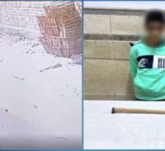 الأمن يكشف ملابسات فيديو الاعتداء على فتاة بالشرقية ومحاولة سرقة هاتفها