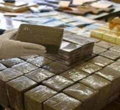 ضبط أخطر تجار الحشيش في طنطا بحوزتهم 270 طربة