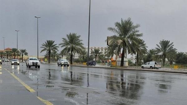 عاصفة رعدية تضرب مصر.. أمطار غزيرة ورياح مثيرة للأتربة الأربعاء والخميس - عربي نيوز 