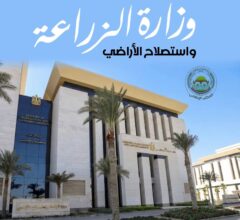 ضبط 213 طن لحوم مخالفة وتحرير 908 محاضر