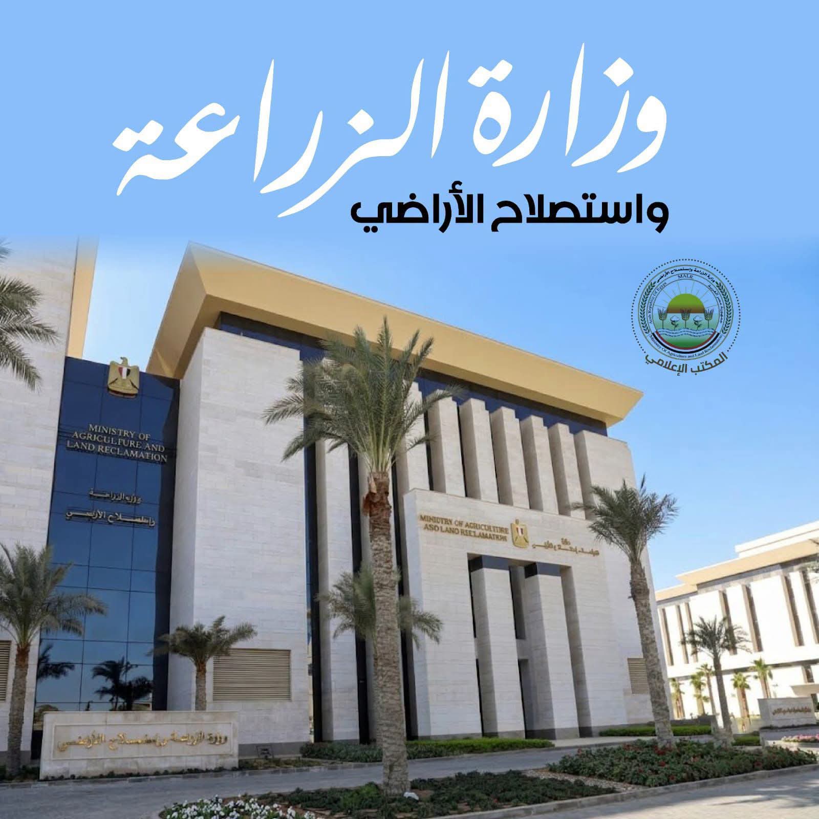 ضبط 213 طن لحوم مخالفة وتحرير 908 محاضر