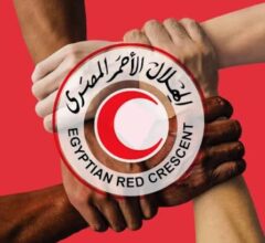 الهلال الأحمر المصري يدفع قافلة زاد العزة 269 بحمولة تتجاوز 3750 طنا من المساعدات الإنسانية